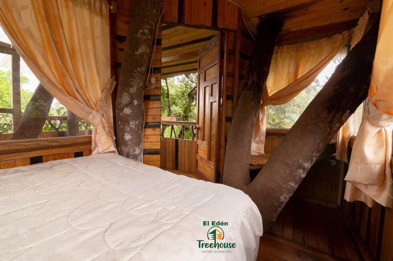 Eden Treehouse Villa Mindo Exterior foto