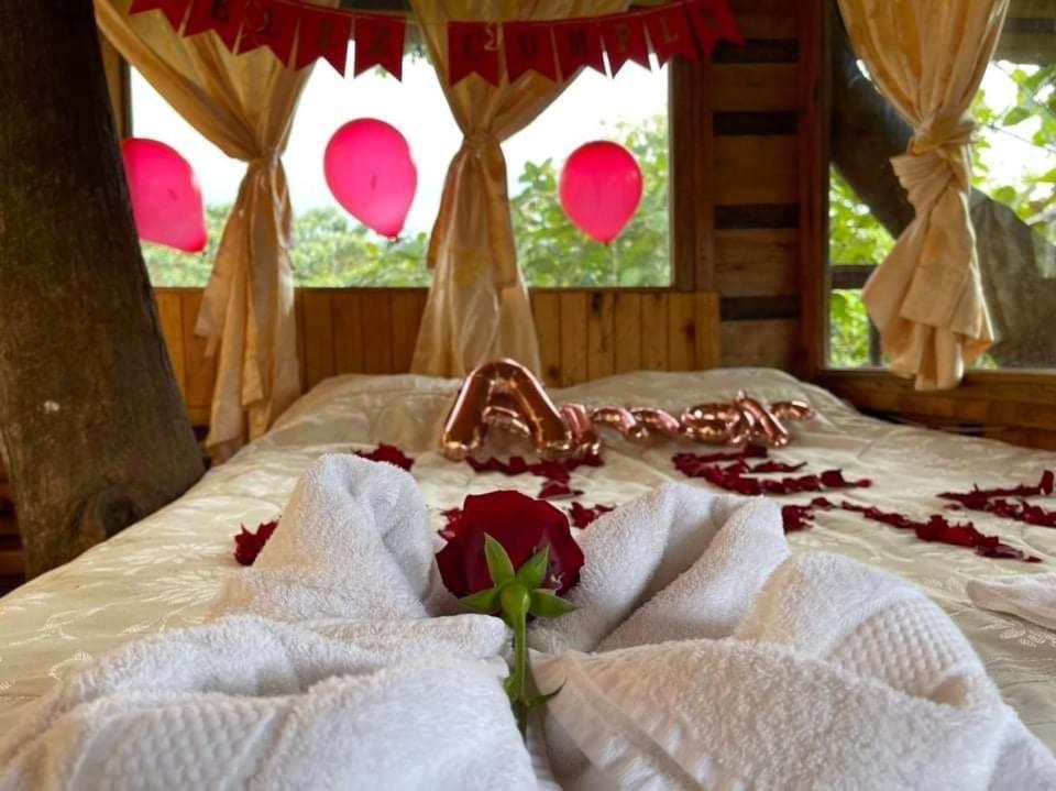 Eden Treehouse Villa Mindo Exterior foto