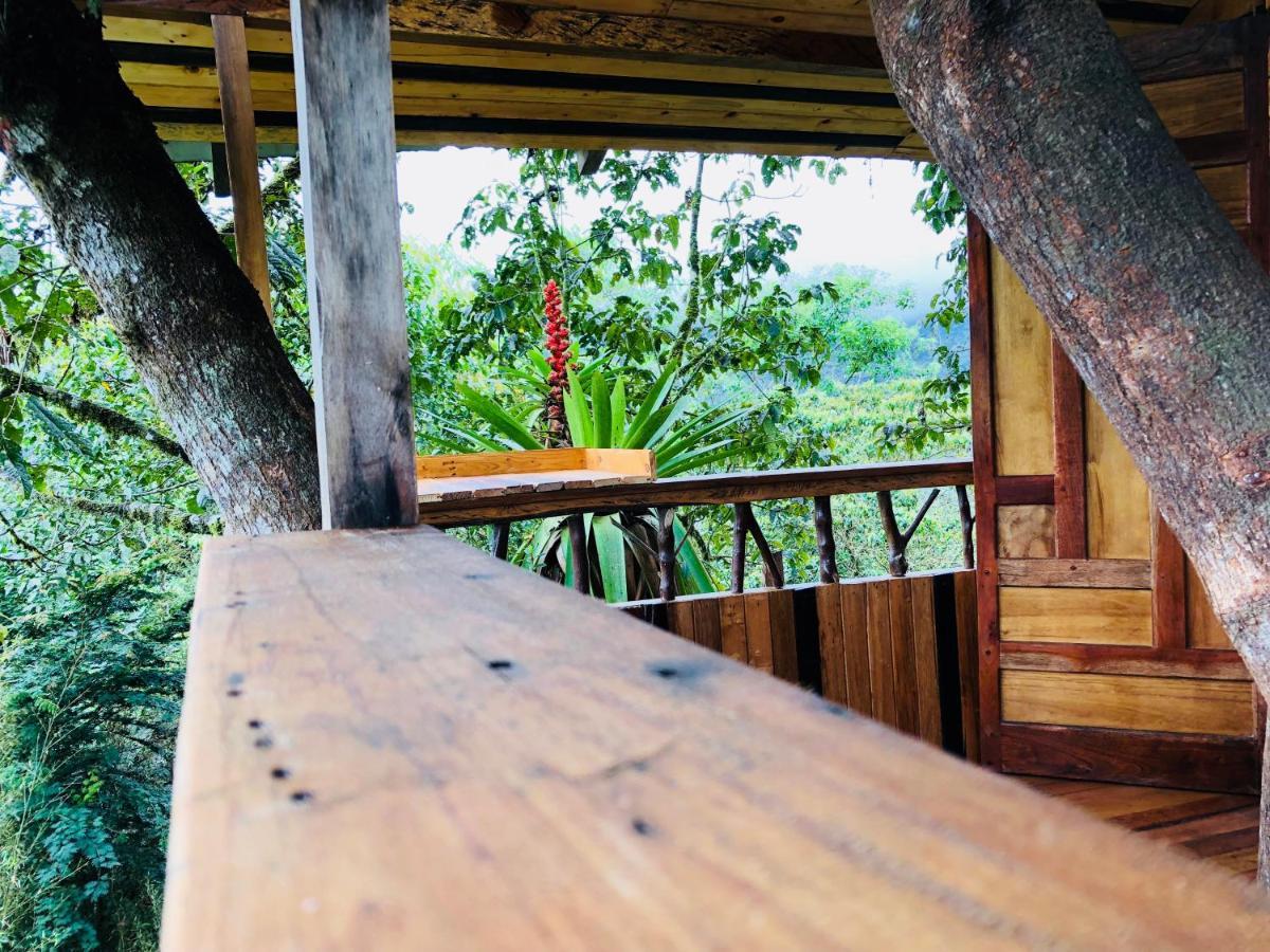 Eden Treehouse Villa Mindo Exterior foto