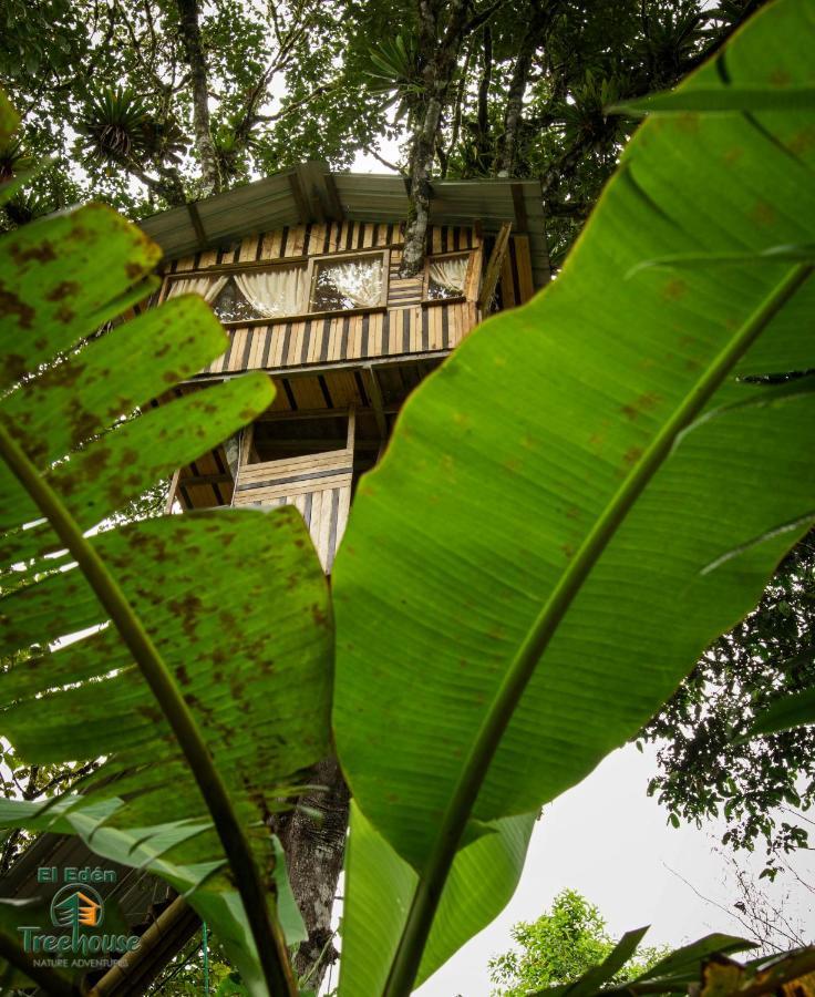 Eden Treehouse Villa Mindo Exterior foto