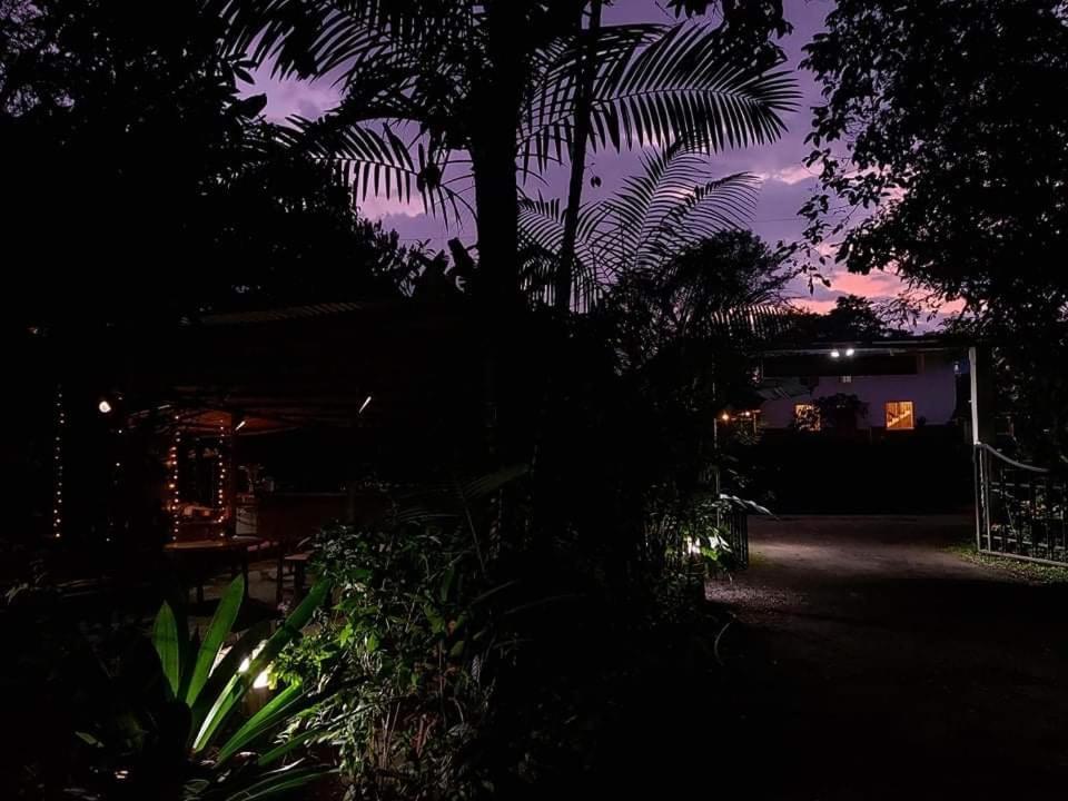 Eden Treehouse Villa Mindo Exterior foto