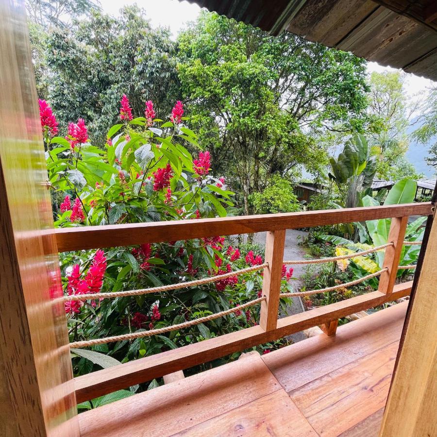 Eden Treehouse Villa Mindo Exterior foto
