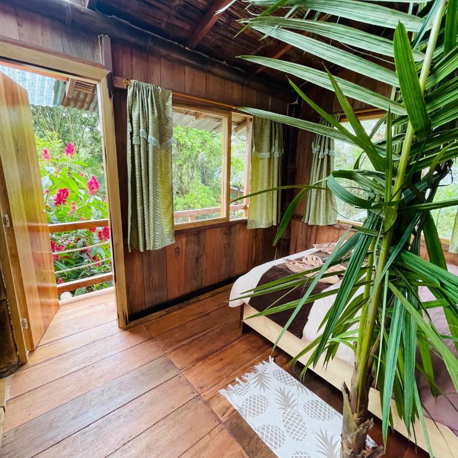 Eden Treehouse Villa Mindo Exterior foto