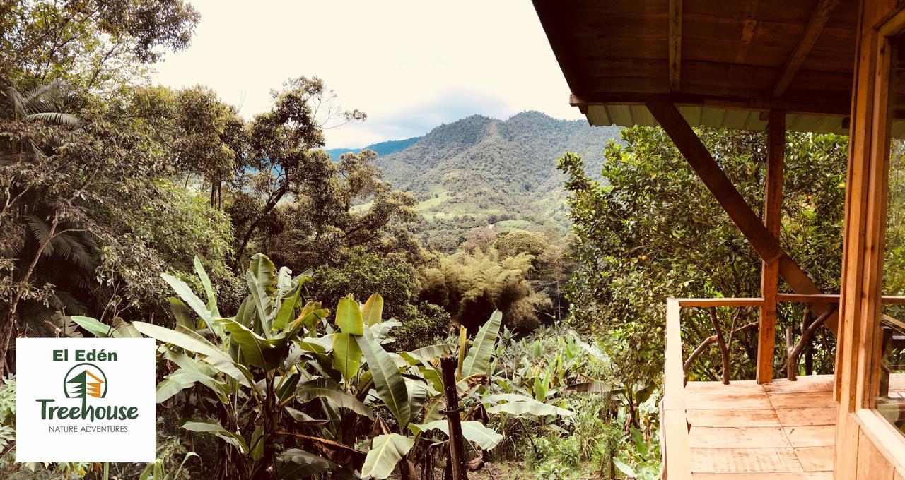 Eden Treehouse Villa Mindo Exterior foto