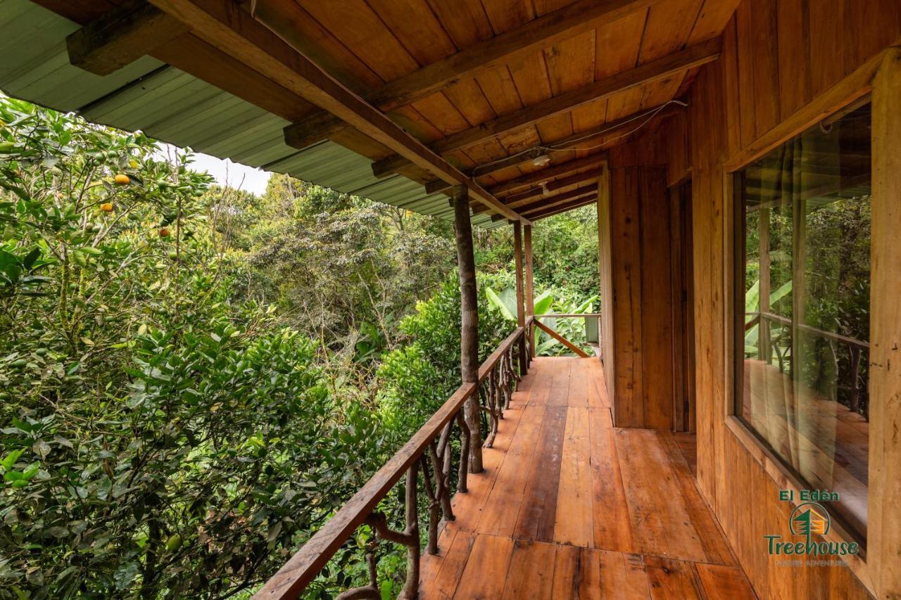 Eden Treehouse Villa Mindo Exterior foto