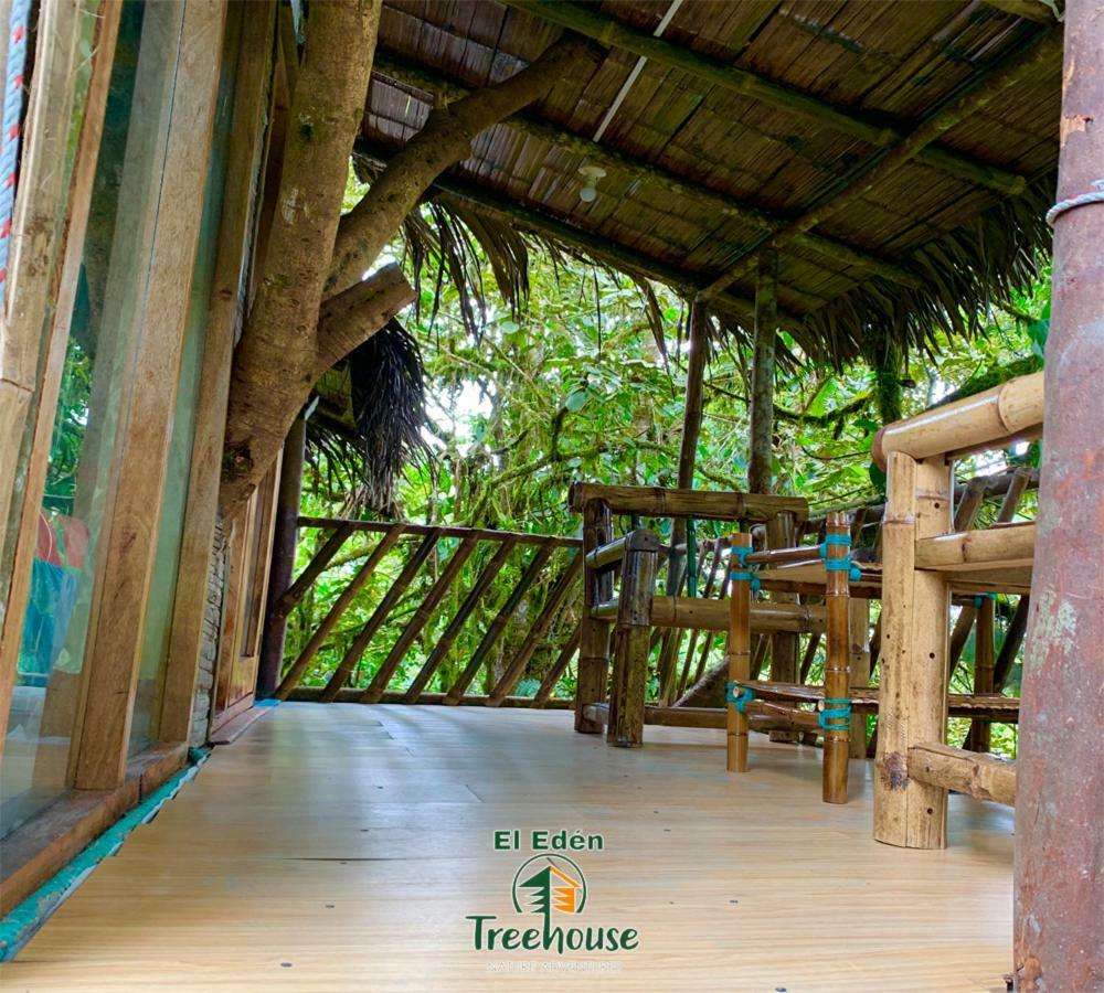 Eden Treehouse Villa Mindo Exterior foto